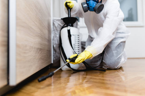 Best Pest Control Cost  in Turnersville, NJ