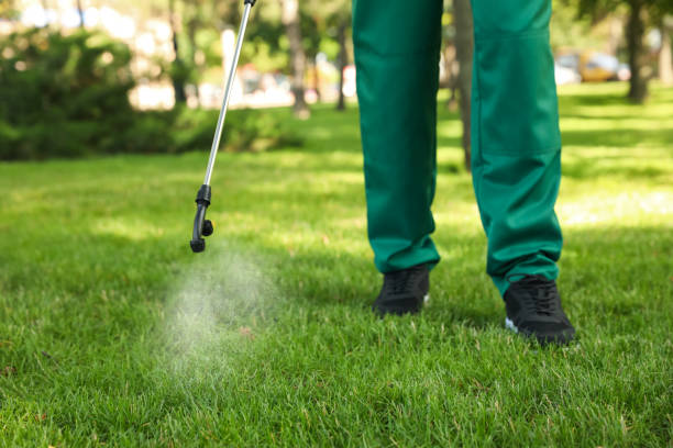 Professional Pest Control in Turnersville, NJ