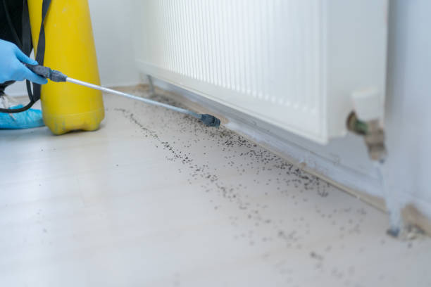 Best Commercial Pest Control Services  in Turnersville, NJ