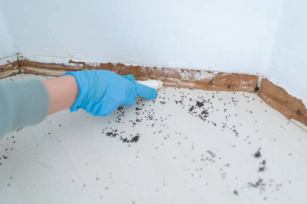 Pest Control Cost in Turnersville, NJ
